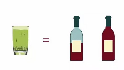 一杯茶|一杯茶的营养到底有多高?看你还有什么理由不喝茶!!!