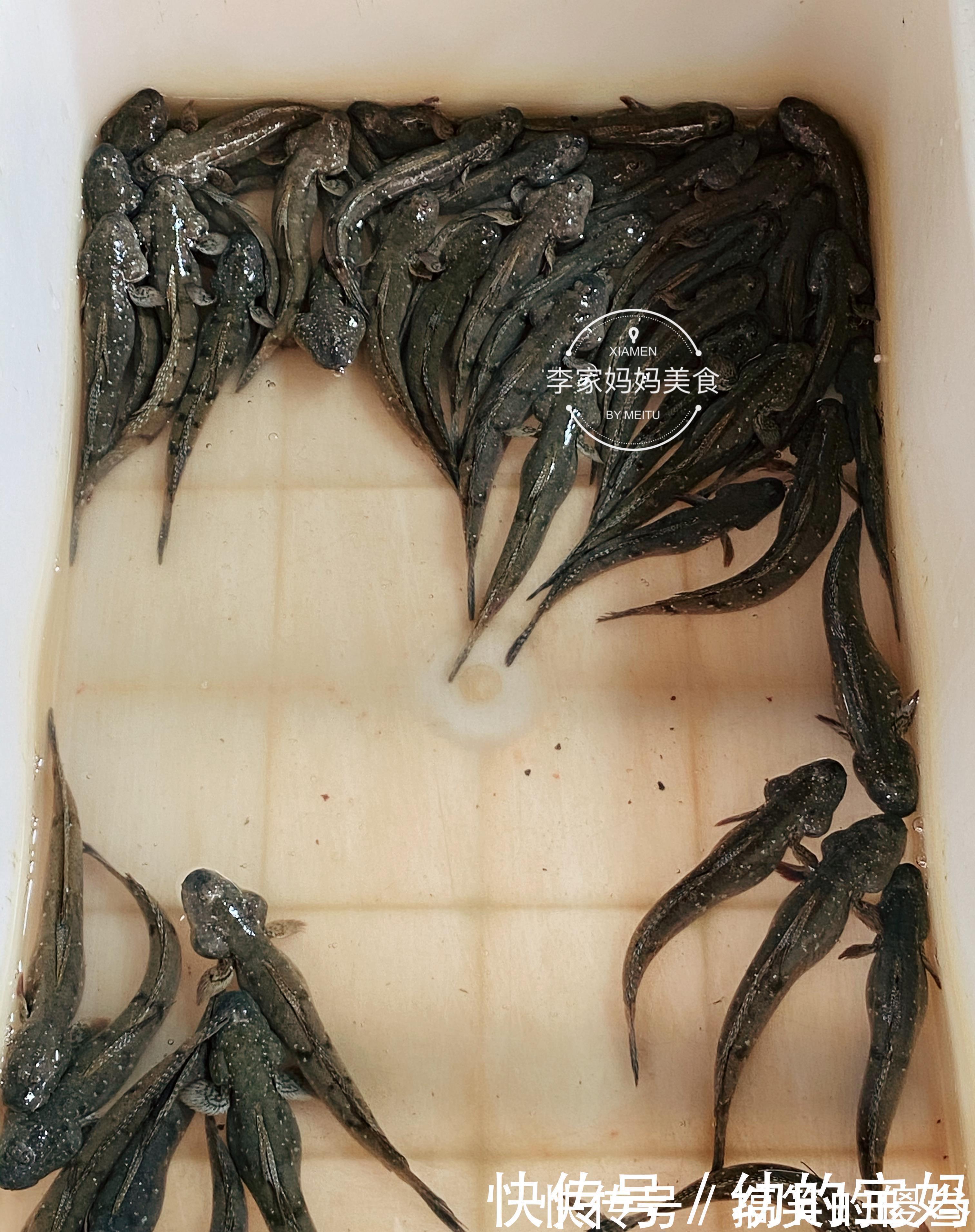 6种海鱼虽然长得丑，味道却很鲜美，纯野生无养殖，放心吃