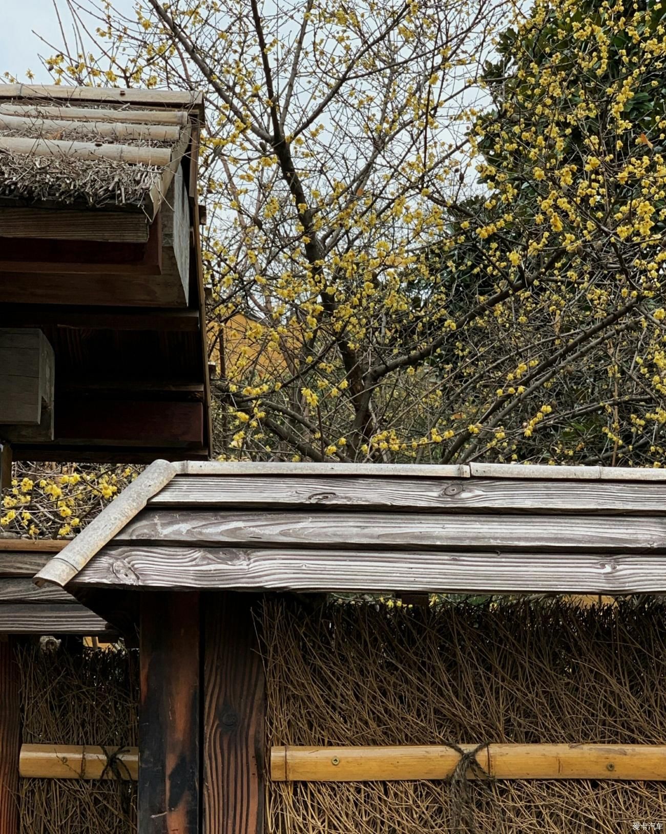 神圣之心，梦回龙华古寺