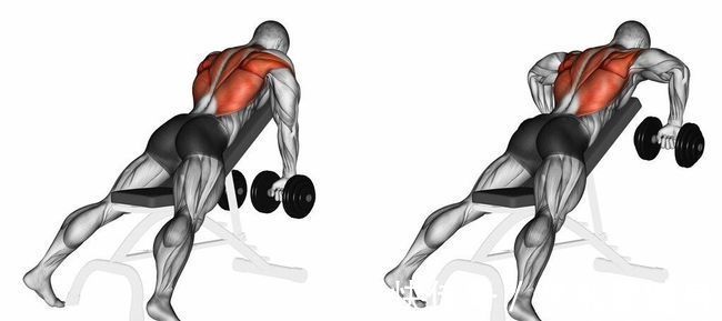 三角肌|肩部肌肉的详细训练方法,6个动作每周练1次,打造饱满球形肩