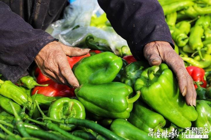 中年|年前的最后一个大集，暖阳河畔的诸葛大集年味十足