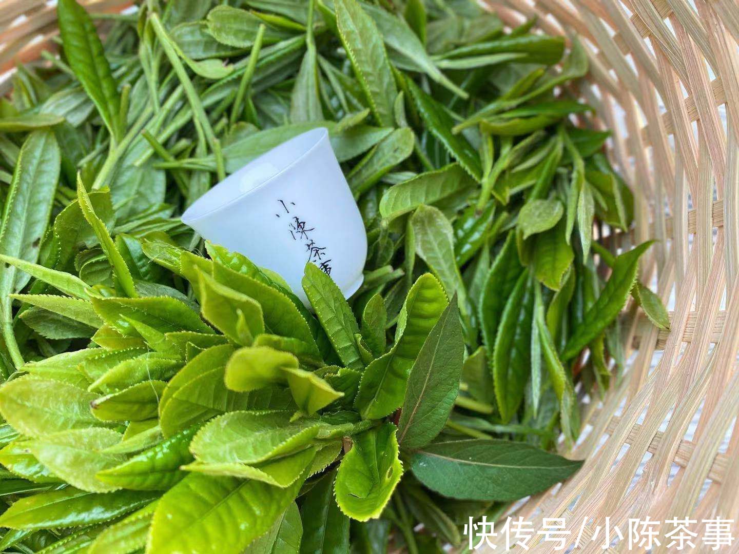 茶叶#6个原因告诉你，为什么老茶客煮茶滋味甘醇，而你的却苦涩不堪