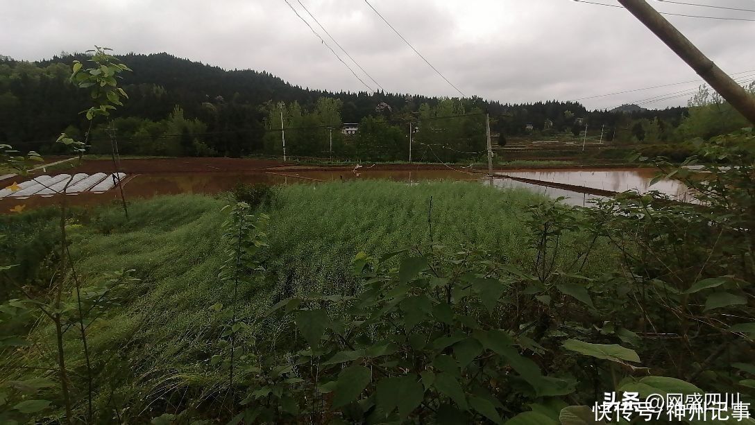 清明，在祭祖的路上看风景（二）