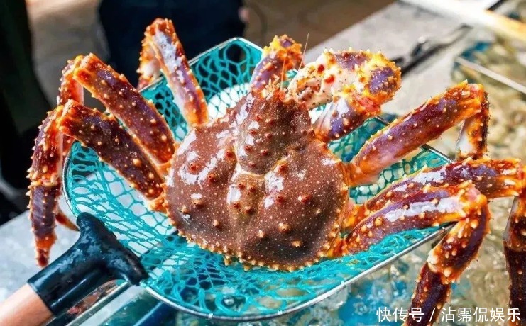 海蟹|开海后常见的海蟹种类有哪些哪种螃蟹最好吃