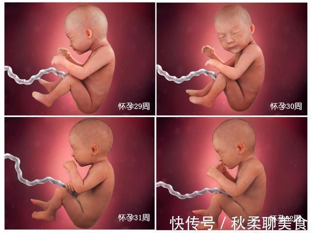 发育|胎儿40周变身记：从0.5厘米受精卵到50厘米宝宝，过程神奇
