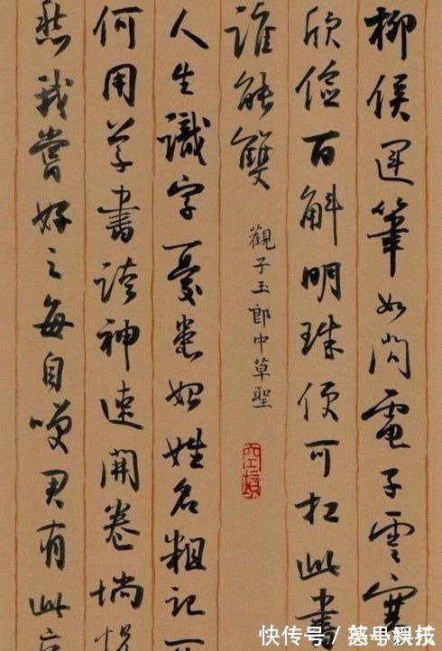 入会!36年前孙晓云的入会申请曝光,字迹隽秀,行云流水,大家风范