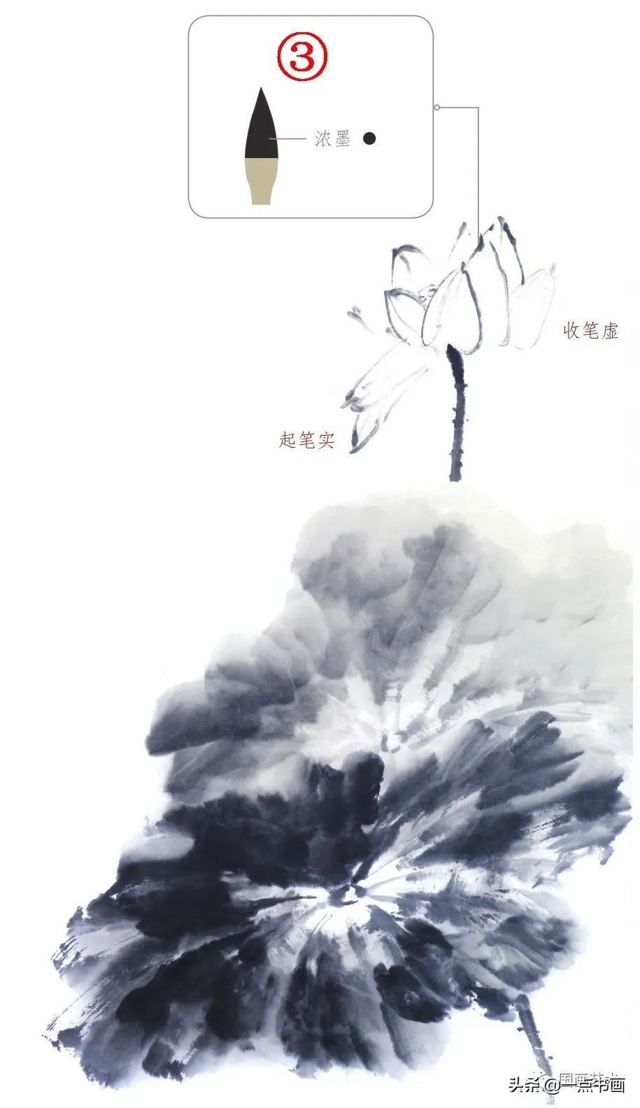 一学就会画荷花金鱼