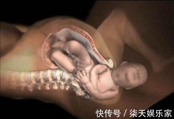 产妇|胎儿出生前都在忙什么组图播放全过程,着急见爸妈的样子真可爱