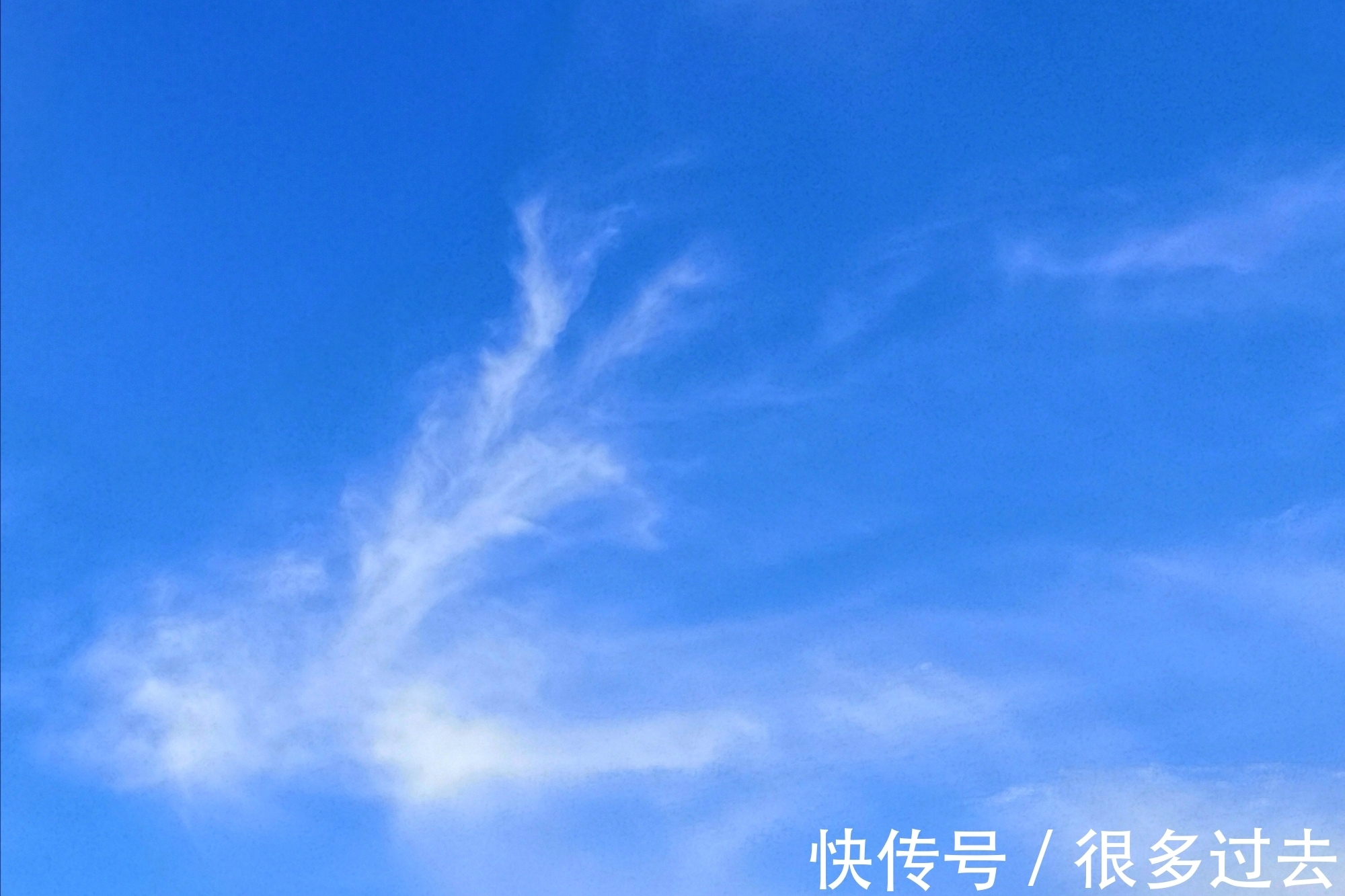 散文|原创散文:武汉的云,故乡的云