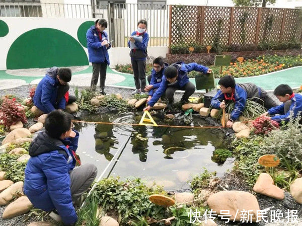 申时校园|申时校园｜嘉定：提质增效，为教师赋能