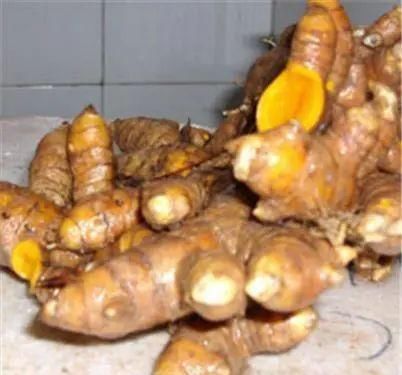 农村山上一种“黄金”农村人都不吃,城里人稀罕的很