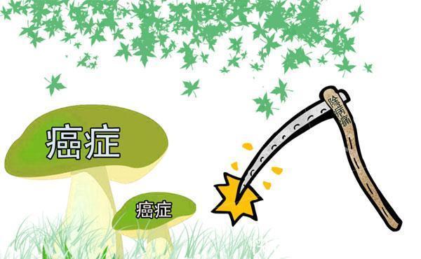 生存期|癌症的治疗效果,跟什么有关?生存期长的患者,有哪些共性?