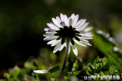 旺子|阴历哪个日子出生的女人，最有旺子女命，生的孩子有财又有福