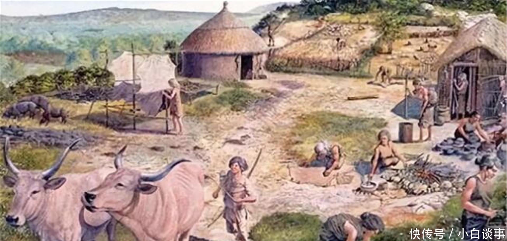 货币|古时候贝壳是货币,为何人们不去多捡点贝壳,让自己成为有钱人