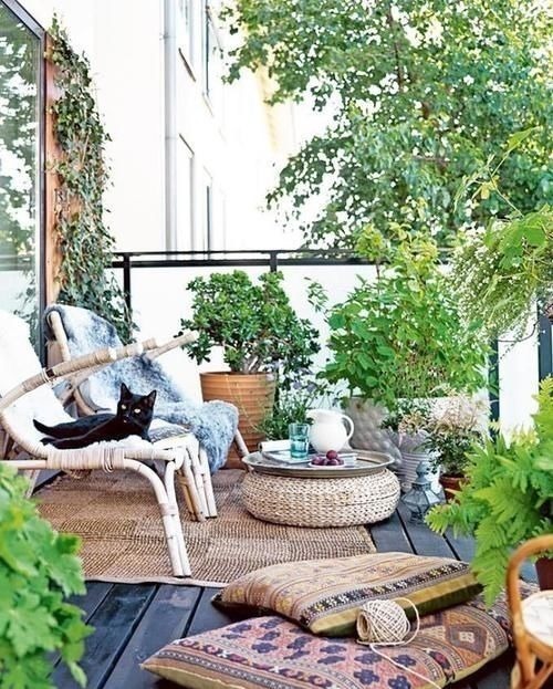 阳台上|3步打造“阳台花园”，只要有阳台，就可以打造漂亮的阳台小花园