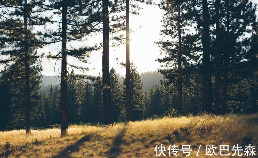 诗人#诗词里的清晨,有多少双眼睛睁开,就有多少个世界醒来