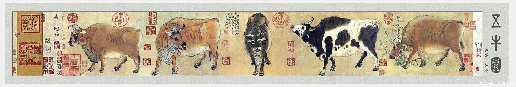 五牛图发行量只有720万套,后市必然大火。