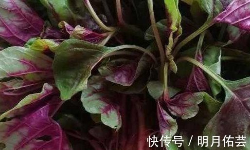 糖尿病患者|女性想瘦身,多吃四种食物,排毒抗衰,养护肌肤,皮肤越来越好