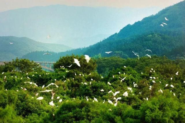 这里是中原最佳赏春地，山水秀美，“九镇十八湾”处处如画