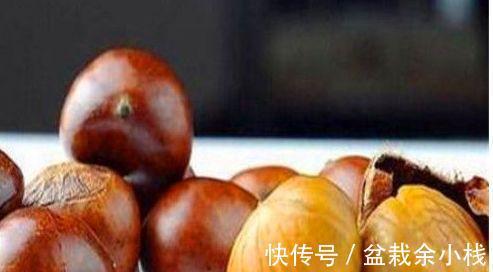 常吃|女性养生,适合常吃3种食物,排毒养颜,刮油消脂,甩掉多余脂肪