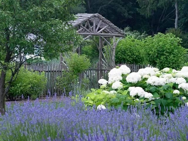 惬意|60款豪宅花园设计，自然安静的生活就该如此惬意