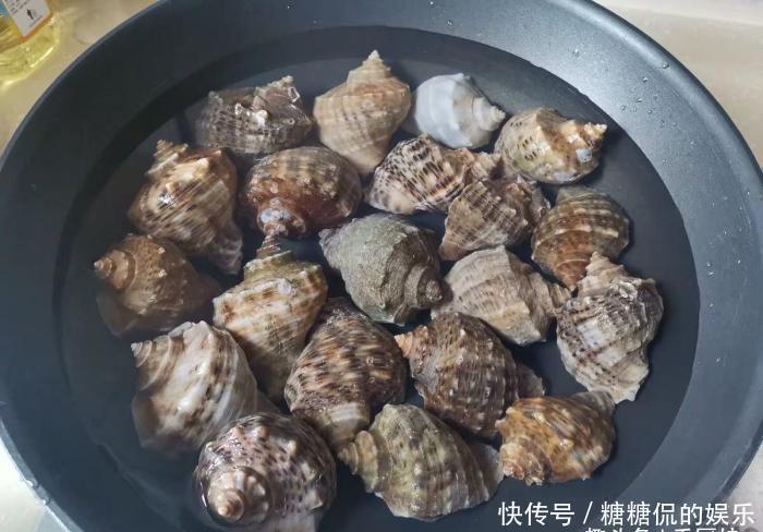 误认为是“大海螺”,花250块钱买6斤,回家上锅一蒸,太惊喜了