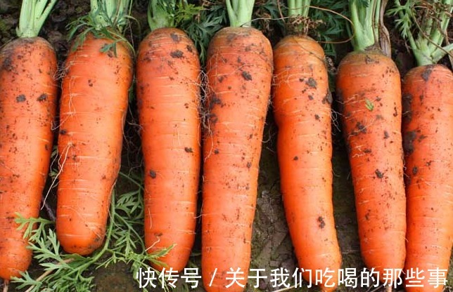 桔红色|碰到5种胡萝卜不能买,质量差,菜农自己也不吃,很多人还不知道