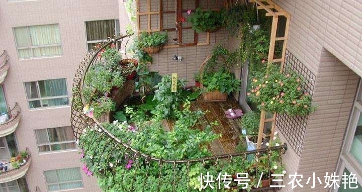 花盆|阳台不要塞一大堆花盆了!学聪明女人种果树,好看又好吃