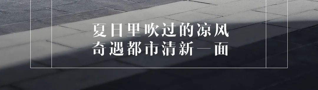 配色|KiWi EV丨配色上新,清新一夏