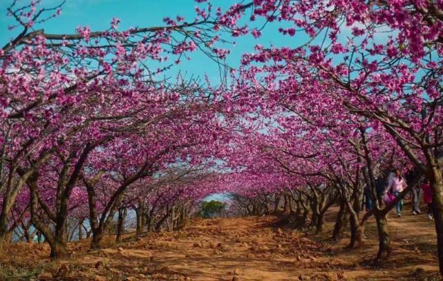 喜从天降|2022年诸事顺心,大有福报,富贵挡不住的3大生肖