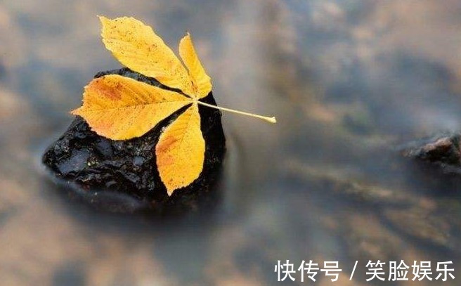 秘方|红薯、山药靠边站，它才是地下宝物！百岁老人都在用的长寿秘方！