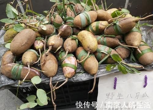 食管癌|中医抗癌有“妙招”,5种能抗癌的中药,你知道几种?