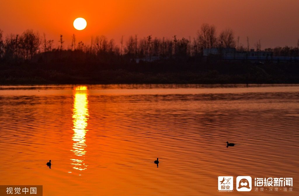 湿地|图看日照｜湿地夕阳红