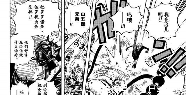 霜月耕三郎|海贼王解读:盘点下索隆与烬的战斗过程