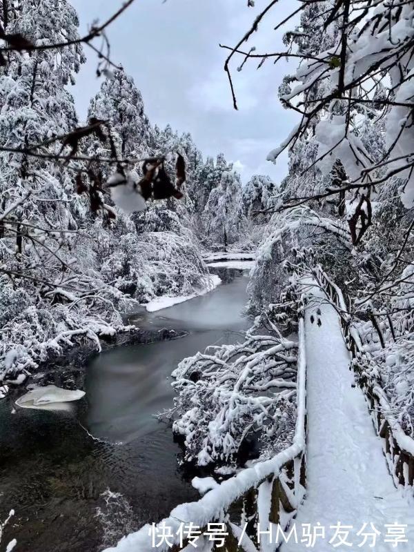 雅安多个景区下雪了！美景、美食一样也不少