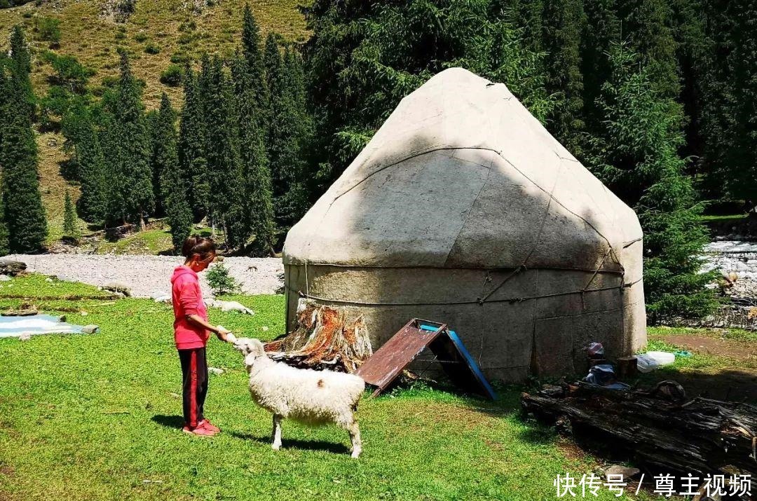 喝牛奶|广东女孩到新疆旅游，在天山下牧民村呆了半个月，每天喝牛奶吃馕