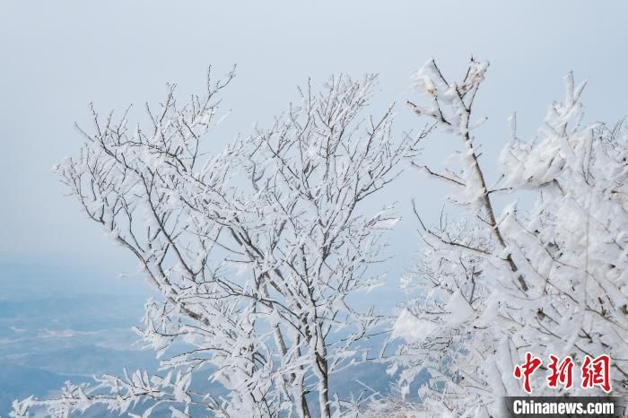 刘玲莉|雪后初霁的湖北红安老君山