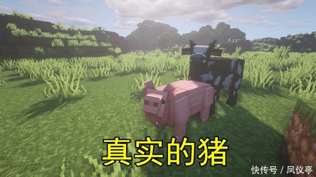 玩家|我的世界：原来我们都被骗了，这才Minecraft真实的样貌