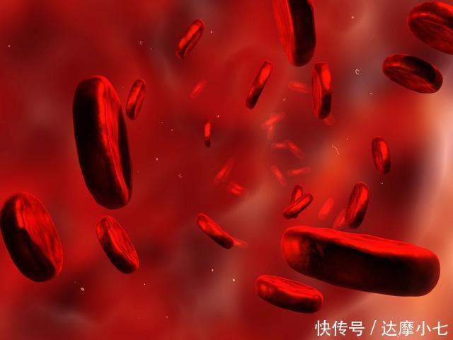 心脑血管|血栓的“清道夫”找到了,大蒜排第三排,排首位的很多人都不知道