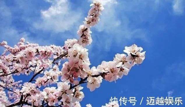 美的眼睛&不知名诗人,无意仿写了陆游的一句诗,不料却成为千古名句