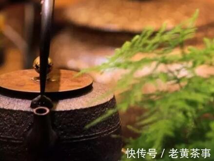 中医|九种体质、六大茶类，中医教你如何配对