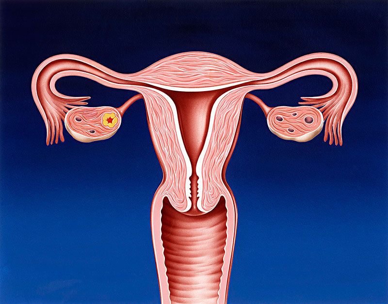 炎症|女生例假刚结束,把这些当“零食”吃,排子宫污血,炎症不来找