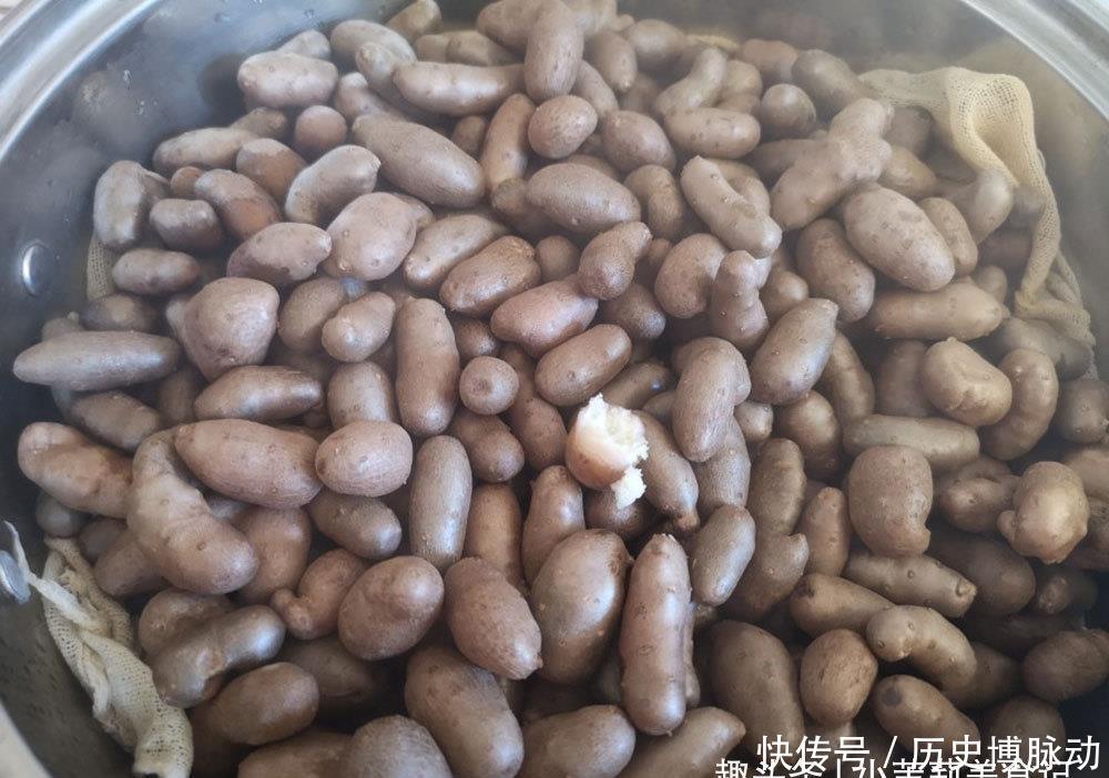 立春后遇到此果别手软,做成小零食,每天吃几颗,营养解馋脾胃好