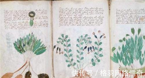 手稿|历史上真实存在的三本奇书,至今依然有人在钻研,却无一人能悟透