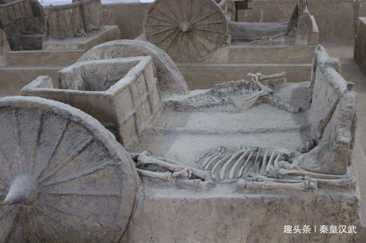商朝|秦始皇祖坟发现商朝式随葬，证实千年传闻为真，纣王或可瞑目