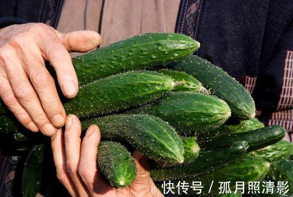 买黄瓜时，如何辨别激素黄瓜菜农记住这四点，再也不会挑错