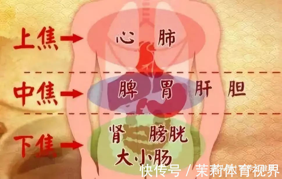 三焦|三焦经,主一身之气!打通它,排掉闷气、病气、火气,气顺百病消