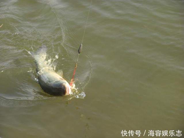 选择不同鱼钩型号、颜色的意义,尤其是钓鱼新手别犯迷糊!