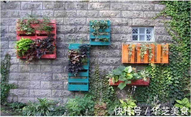 鞋子|她把家里的旧鞋子、茶壶用来种花,卖300一个邻居抢着要!