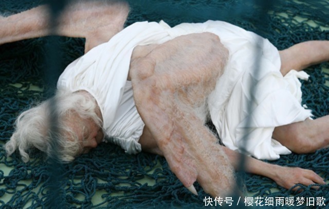 游客|“坠落人间的天使”被展览,游客纷纷驻足观看,扼腕惋惜!